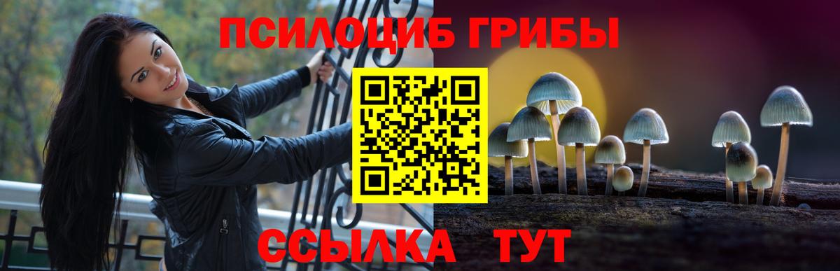 Галлюциногенные грибы GOLDEN TEACHER  Вход с VPN  Великий Новгород  Галлюциногенные грибы GOLDEN TEACHER 