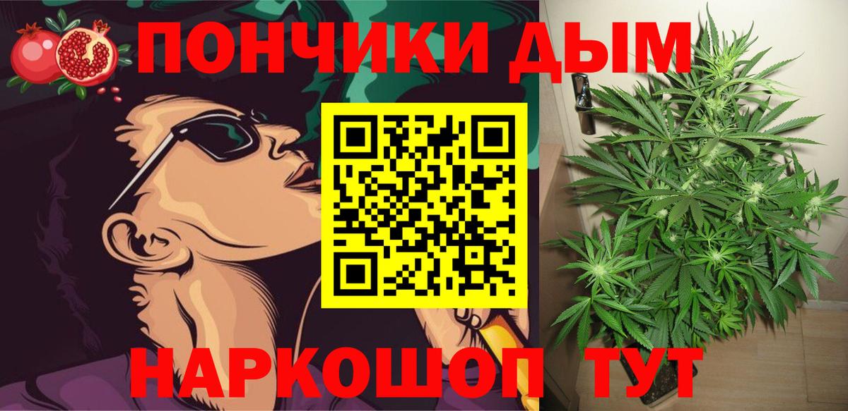 Бошки Шишки Amnesia Великий Новгород
